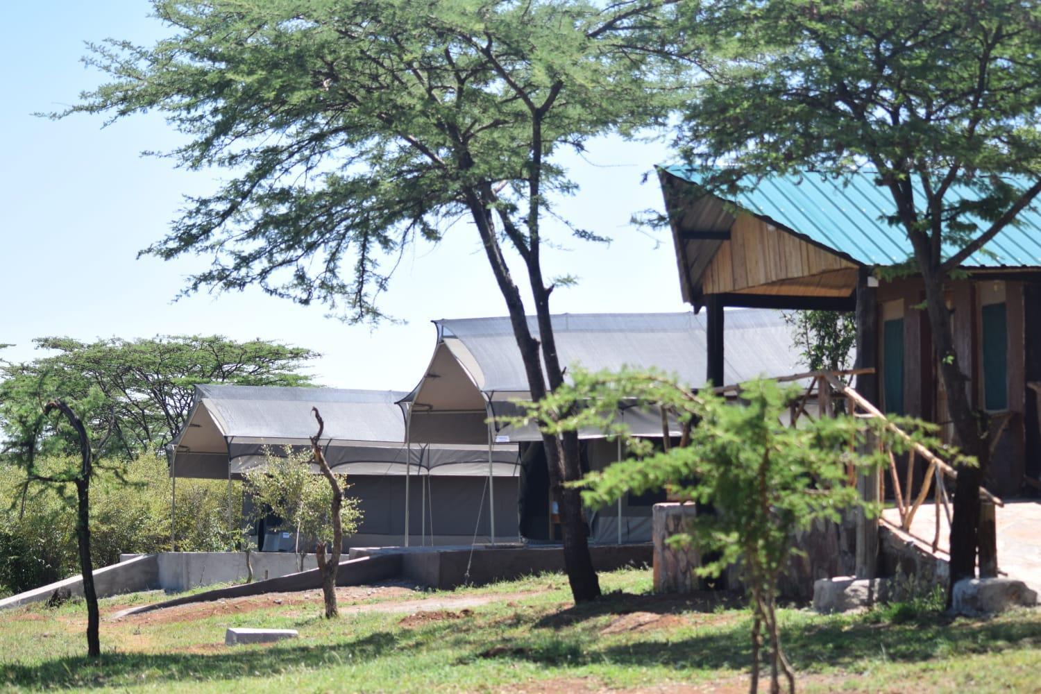 לינה וארוחת בוקר Sekenani Maasai Mara Safari Camp In Kenya מראה חיצוני תמונה